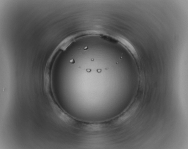 X0000114021000200910021414
