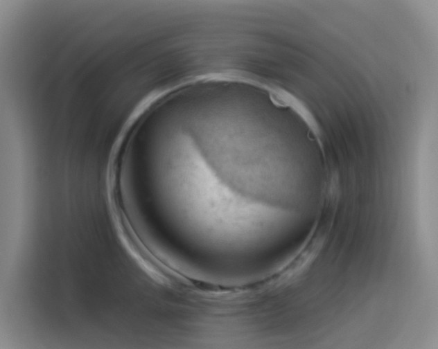 X0000114021005200910021414