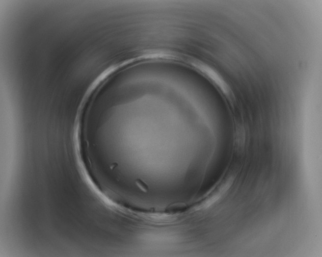 X0000114021007200910021413