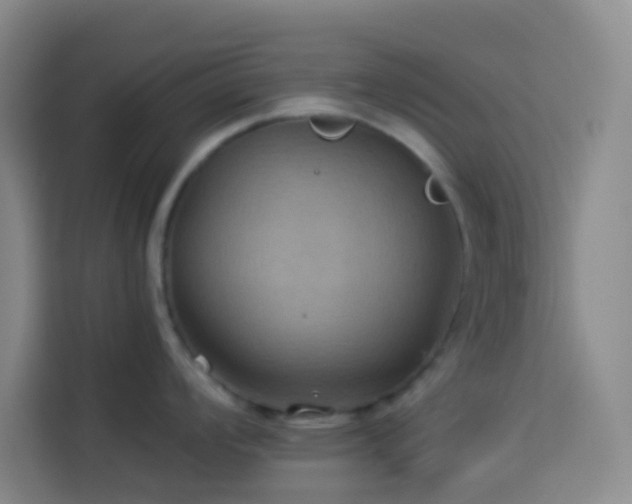 X0000114021008200910021413
