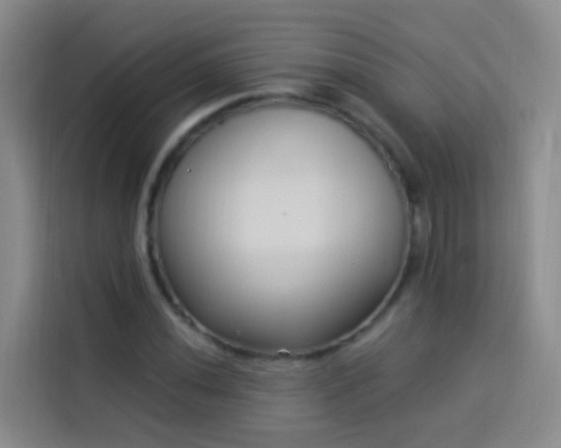 X0000114021020200910021413