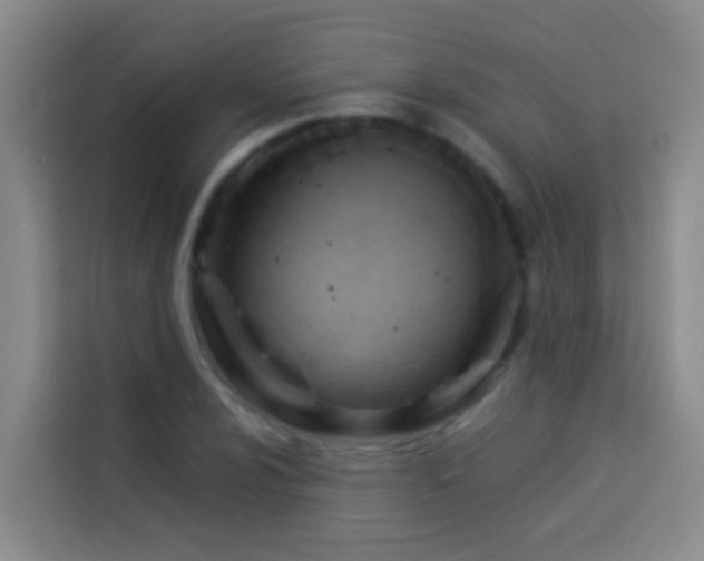 X0000114021024200910021413