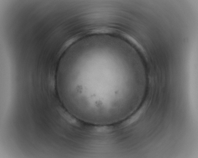 X0000114021025200910021413