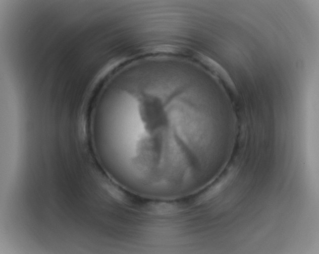 X0000114021027200910021413