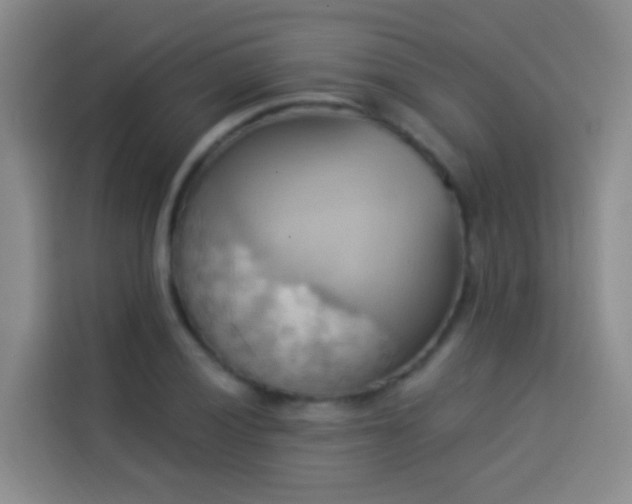 X0000114021028200910021413