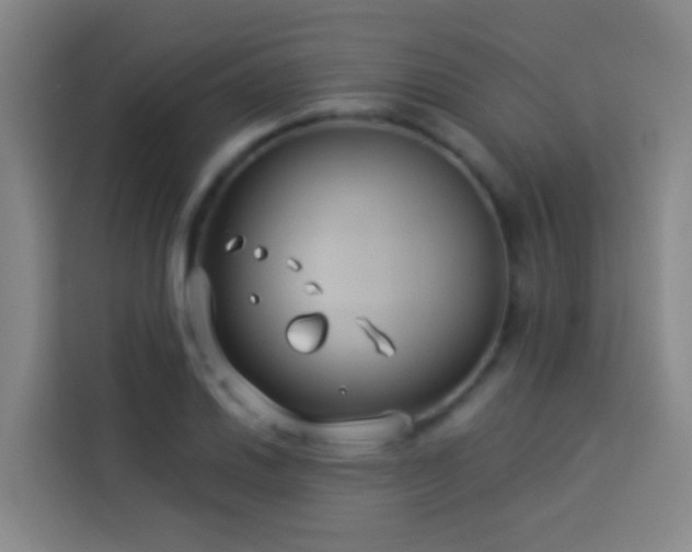 X0000114021030200910021413