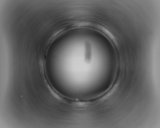 X0000114021041200910021413