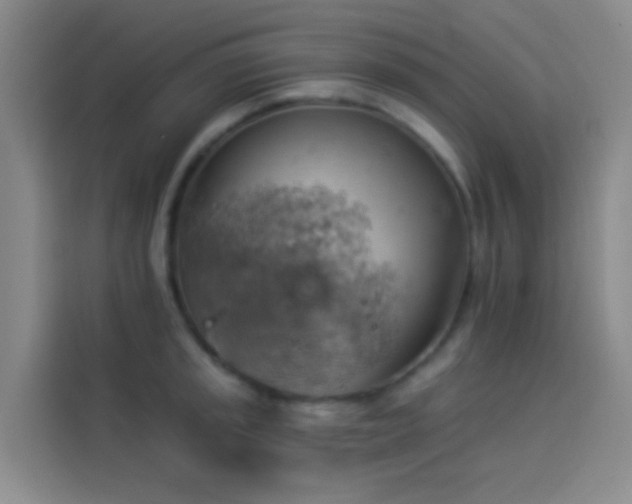 X0000114021045200910021413