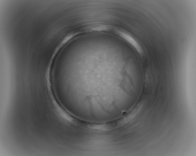 X0000114021047200910021413