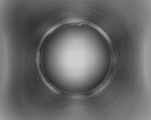 X0000114021053200910021413