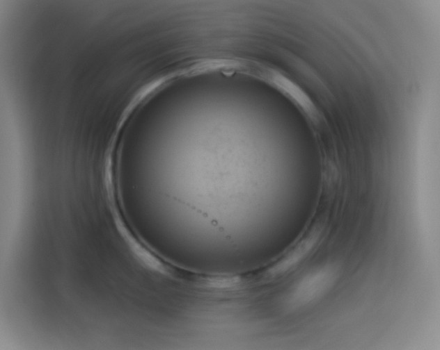 X0000114021055200910021413