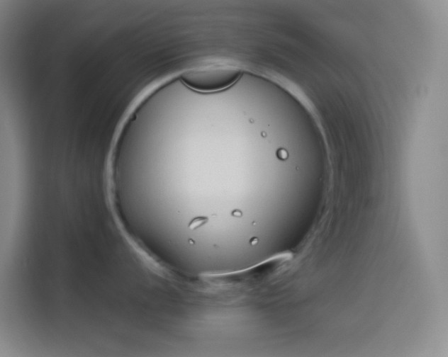 X0000114021056200910021413