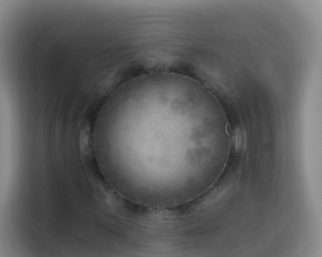 X0000114021059200910021413