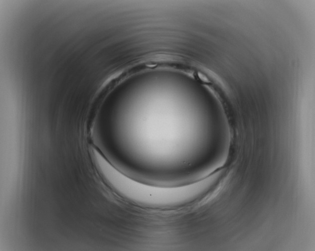 X0000114021065200910021413