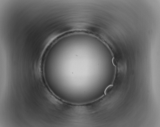 X0000114021068200910021413