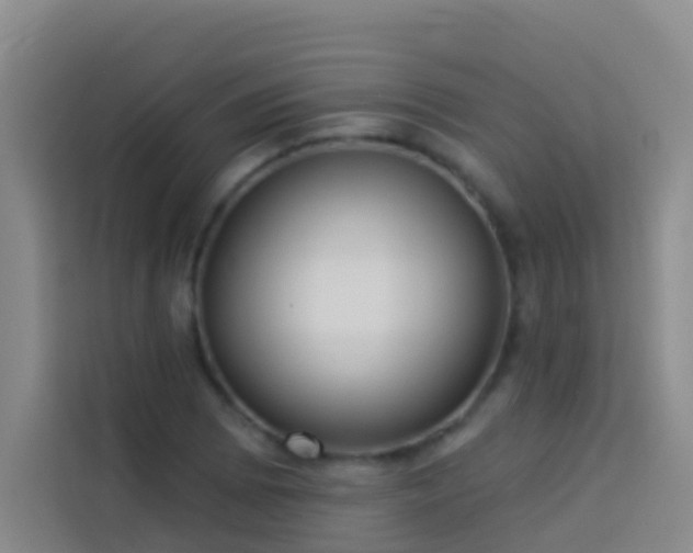 X0000114021073200910021413