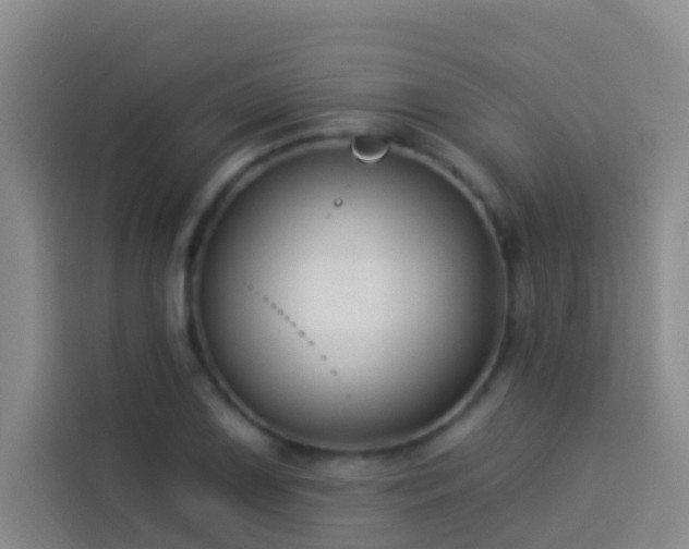 X0000114021075200910021413