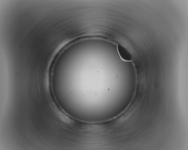 X0000114021076200910021413