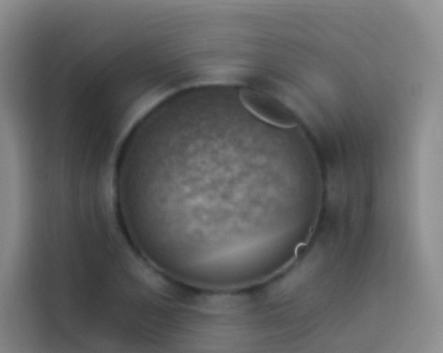 X0000114021077200910021413
