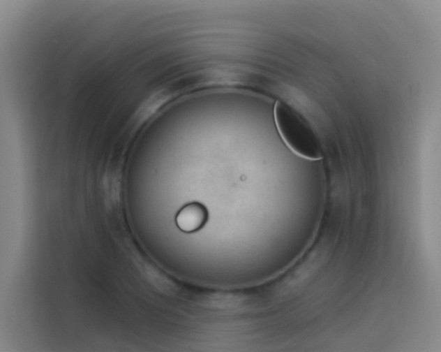 X0000114021081200910021413