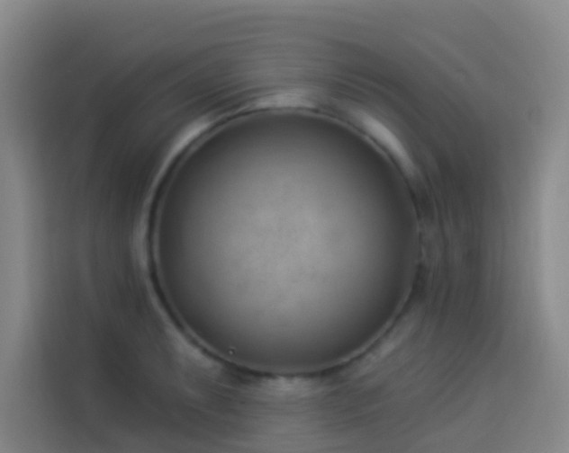 X0000114021087200910021412