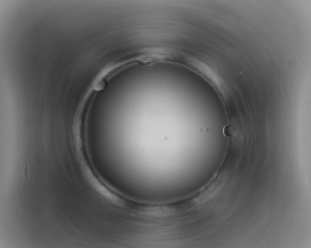 X0000114021091200910021412