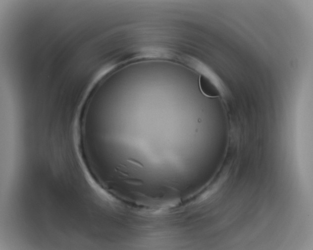 X0000114021095200910021412