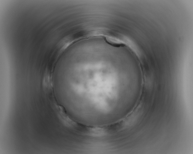 X0000114021097200910021412