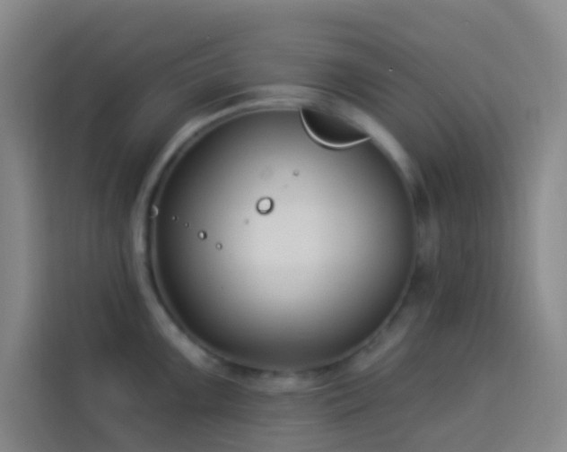 X0000114021099200910021412