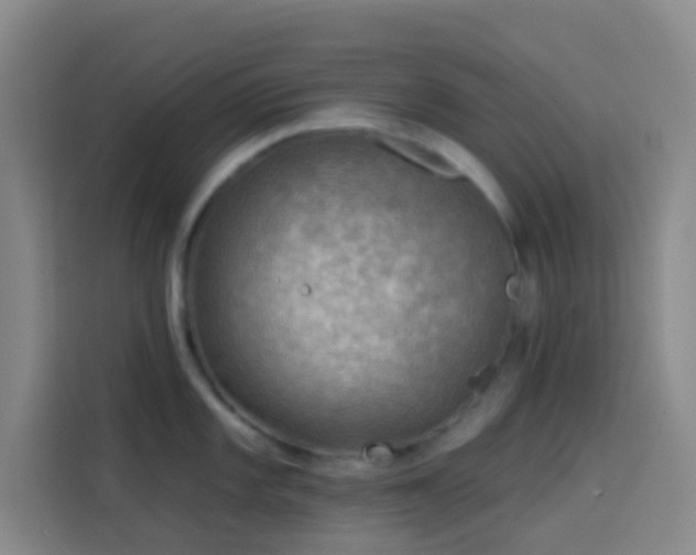 X0000114021101200910021412