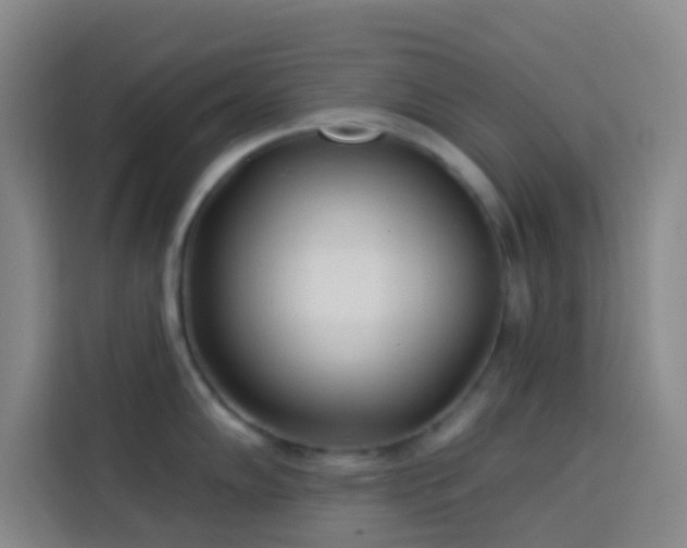 X0000114021102200910021412