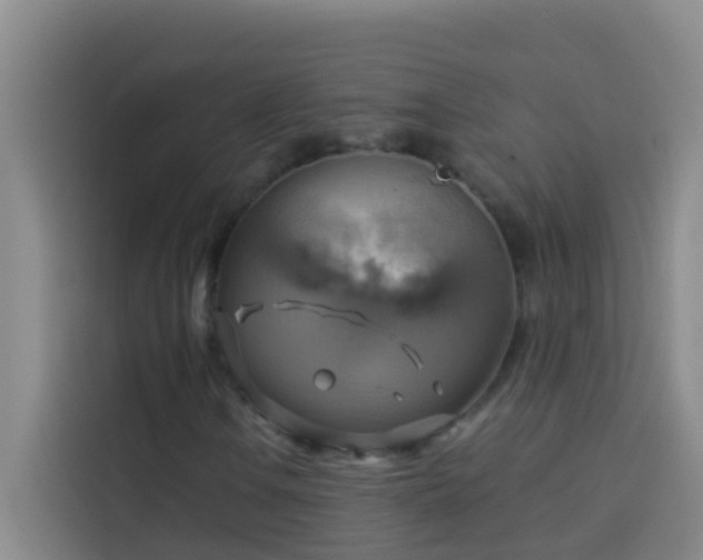 X0000114021106200910021412