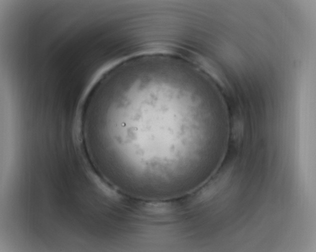 X0000114021116200910021412
