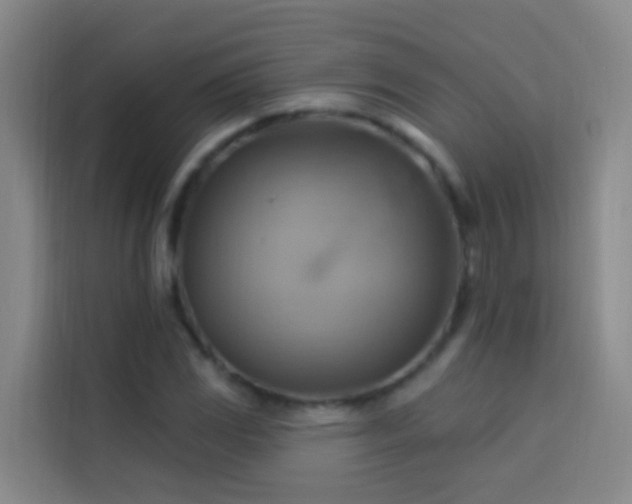 X0000114021117200910021412