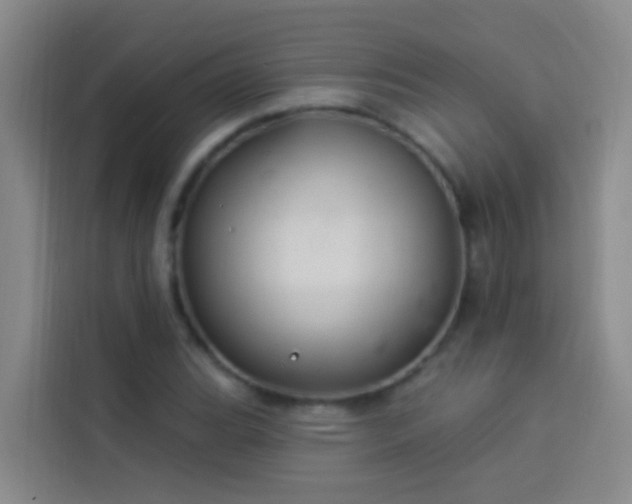 X0000114021119200910021412