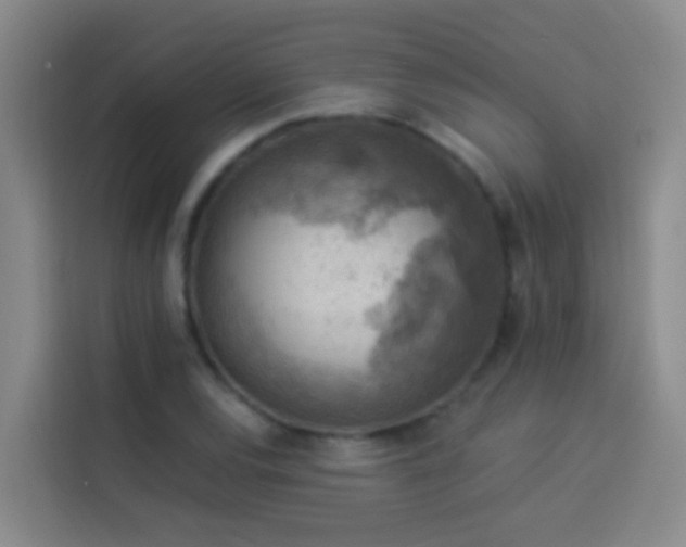 X0000114021120200910021412
