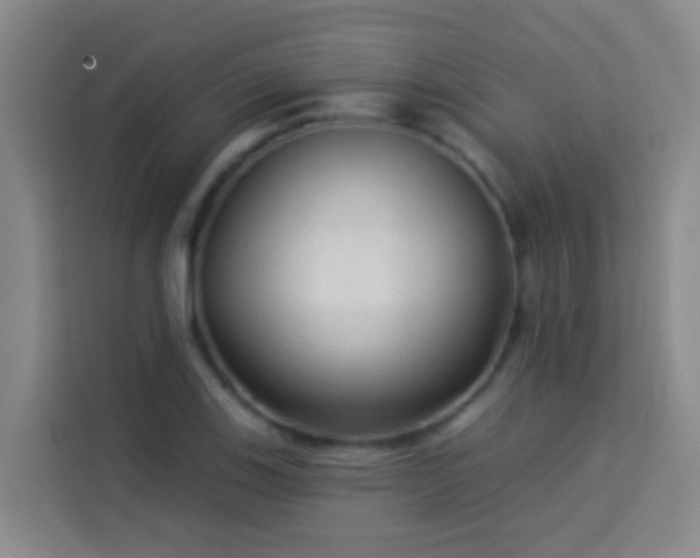X0000114021123200910021412