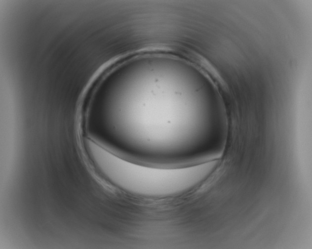 X0000114021124200910021412