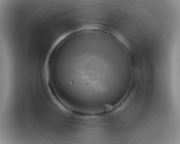 X0000114021127200910021412