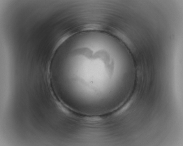 X0000114021129200910021412