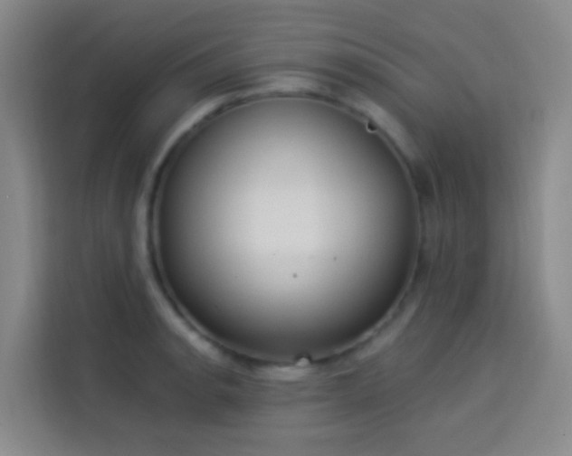 X0000114021134200910021412