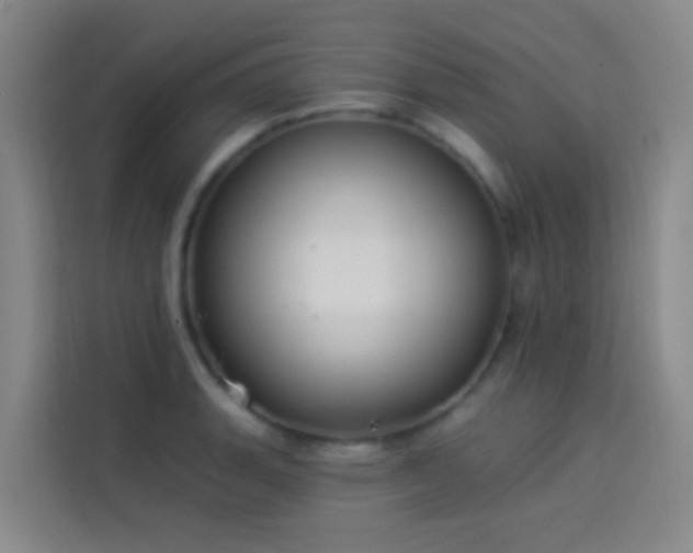 X0000114021135200910021412