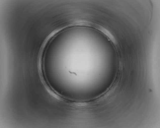 X0000114021136200910021412