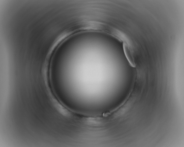 X0000114021138200910021412