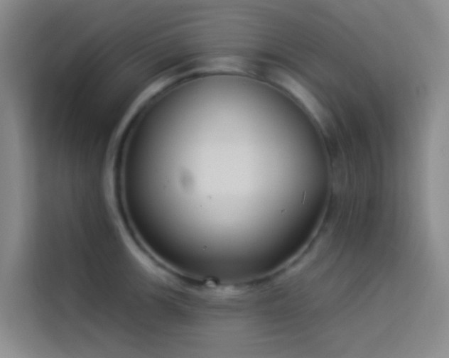 X0000114021139200910021412