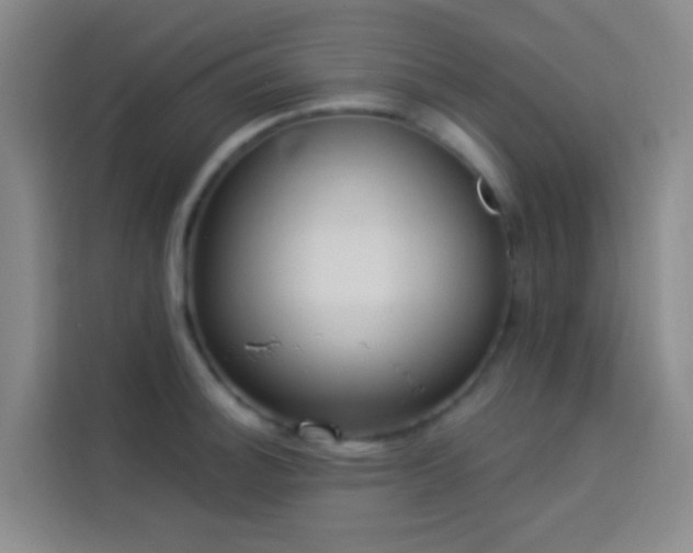 X0000114021140200910021412