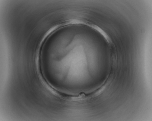X0000114021142200910021412