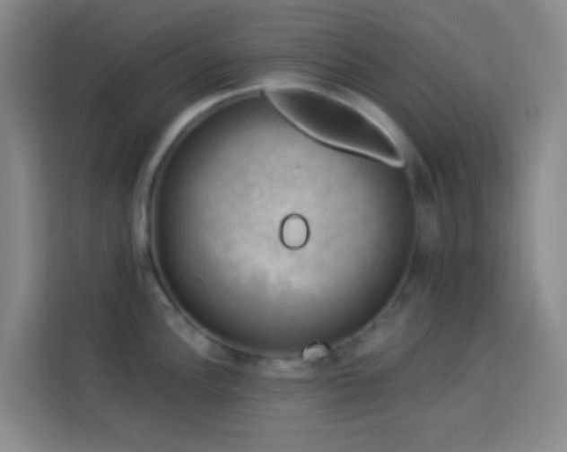 X0000114021148200910021412