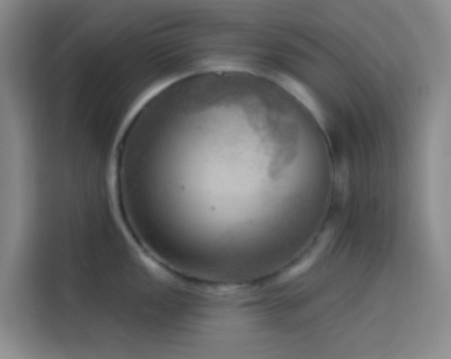 X0000114021149200910021412