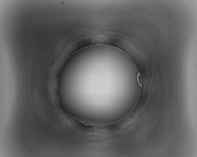 X0000114021153200910021412